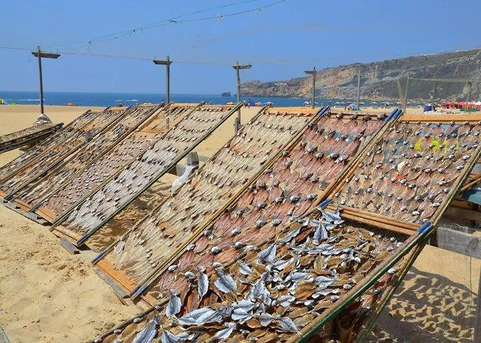 Appartement Beachfront *